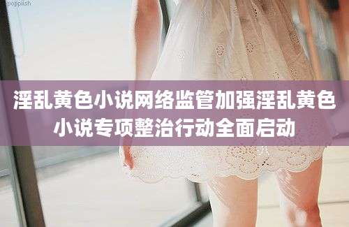 淫乱黄色小说网络监管加强淫乱黄色小说专项整治行动全面启动