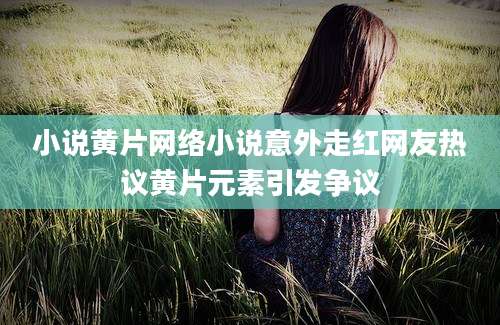 小说黄片网络小说意外走红网友热议黄片元素引发争议