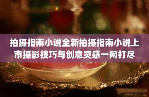 拍摄指南小说全新拍摄指南小说上市摄影技巧与创意灵感一网打尽
