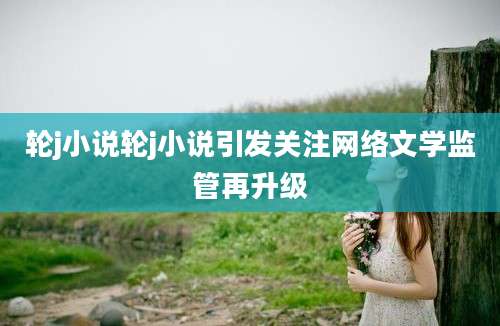 轮j小说轮j小说引发关注网络文学监管再升级