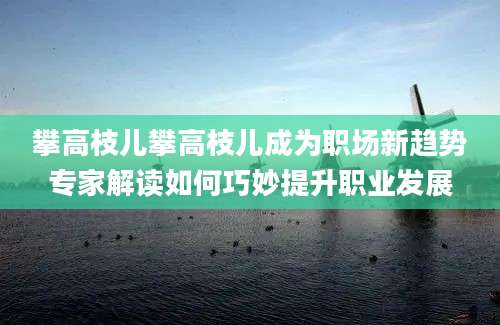 攀高枝儿攀高枝儿成为职场新趋势专家解读如何巧妙提升职业发展