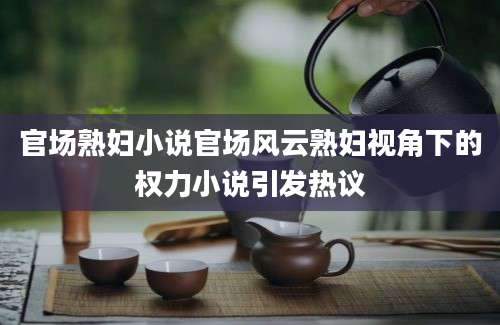 官场熟妇小说官场风云熟妇视角下的权力小说引发热议