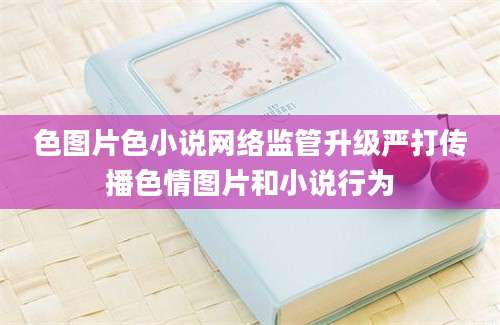 色图片色小说网络监管升级严打传播色情图片和小说行为