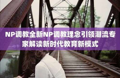 NP调教全新NP调教理念引领潮流专家解读新时代教育新模式