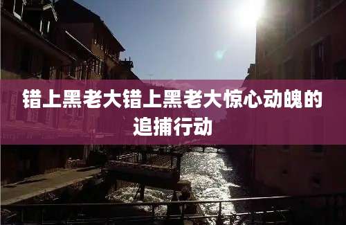 错上黑老大错上黑老大惊心动魄的追捕行动