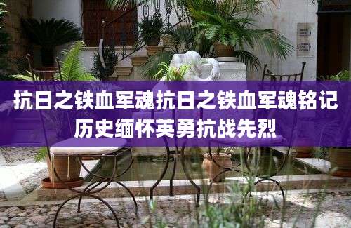 抗日之铁血军魂抗日之铁血军魂铭记历史缅怀英勇抗战先烈