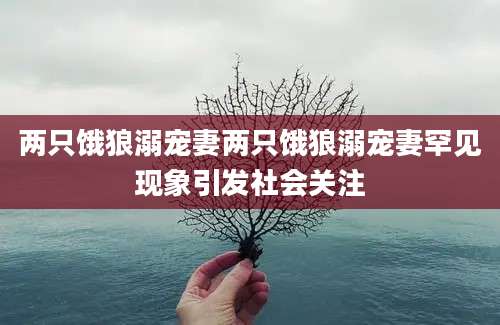 两只饿狼溺宠妻两只饿狼溺宠妻罕见现象引发社会关注