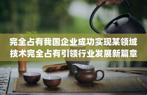 完全占有我国企业成功实现某领域技术完全占有引领行业发展新篇章