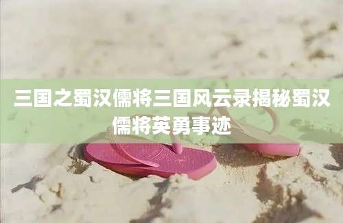 三国之蜀汉儒将三国风云录揭秘蜀汉儒将英勇事迹