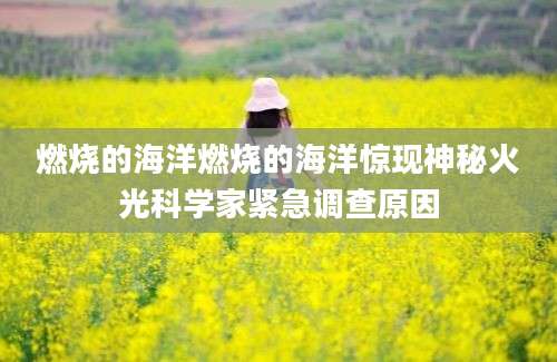 燃烧的海洋燃烧的海洋惊现神秘火光科学家紧急调查原因