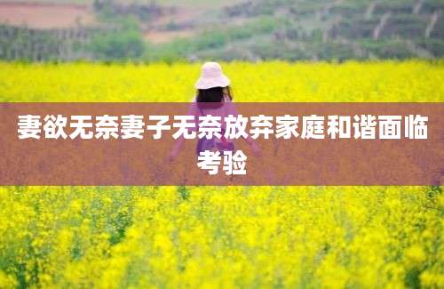 妻欲无奈妻子无奈放弃家庭和谐面临考验