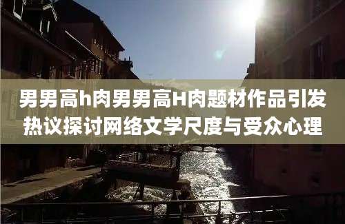 男男高h肉男男高H肉题材作品引发热议探讨网络文学尺度与受众心理