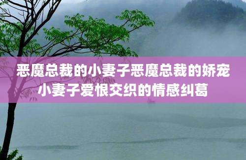 恶魔总裁的小妻子恶魔总裁的娇宠小妻子爱恨交织的情感纠葛