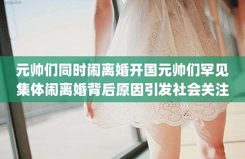元帅们同时闹离婚开国元帅们罕见集体闹离婚背后原因引发社会关注