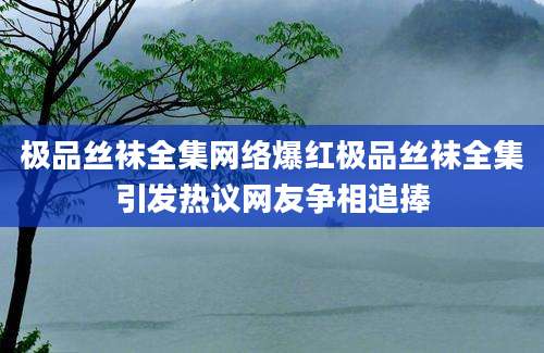 极品丝袜全集网络爆红极品丝袜全集引发热议网友争相追捧
