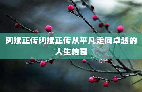 阿斌正传阿斌正传从平凡走向卓越的人生传奇