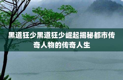 黑道狂少黑道狂少崛起揭秘都市传奇人物的传奇人生
