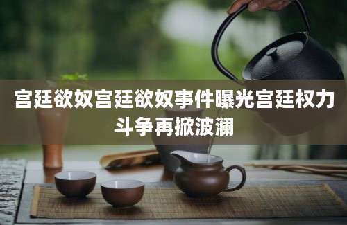 宫廷欲奴宫廷欲奴事件曝光宫廷权力斗争再掀波澜