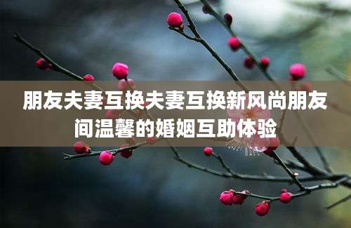 朋友夫妻互换夫妻互换新风尚朋友间温馨的婚姻互助体验