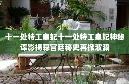 十一处特工皇妃十一处特工皇妃神秘谍影揭幕宫廷秘史再掀波澜