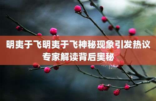明夷于飞明夷于飞神秘现象引发热议专家解读背后奥秘