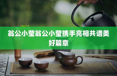 翁公小莹翁公小莹携手亮相共谱美好篇章