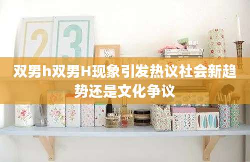 双男h双男H现象引发热议社会新趋势还是文化争议