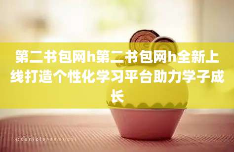 第二书包网h第二书包网h全新上线打造个性化学习平台助力学子成长