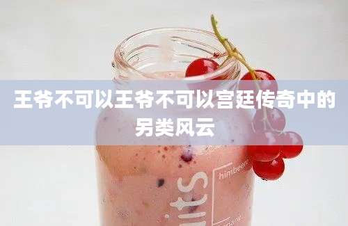 王爷不可以王爷不可以宫廷传奇中的另类风云