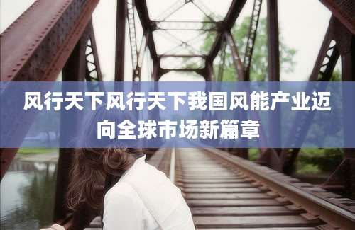 风行天下风行天下我国风能产业迈向全球市场新篇章