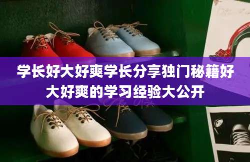 学长好大好爽学长分享独门秘籍好大好爽的学习经验大公开