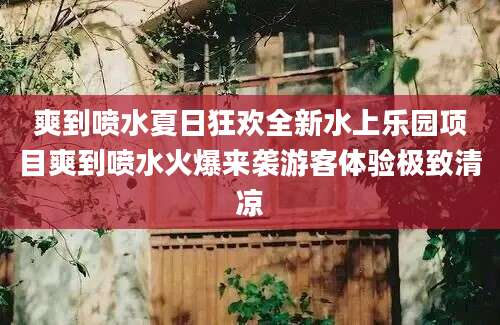 爽到喷水夏日狂欢全新水上乐园项目爽到喷水火爆来袭游客体验极致清凉