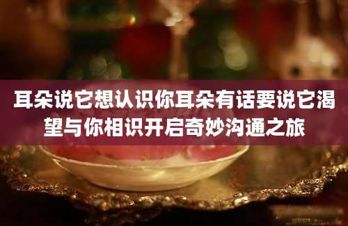 耳朵说它想认识你耳朵有话要说它渴望与你相识开启奇妙沟通之旅