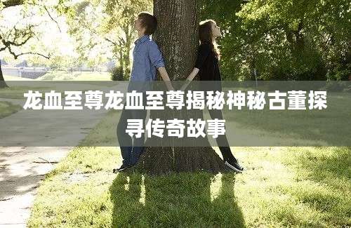 龙血至尊龙血至尊揭秘神秘古董探寻传奇故事