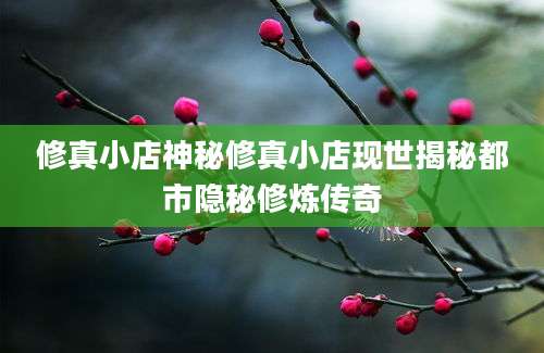 修真小店神秘修真小店现世揭秘都市隐秘修炼传奇