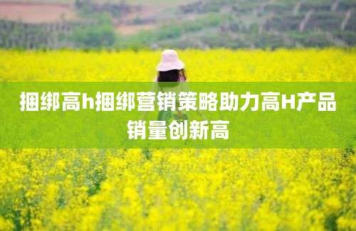捆绑高h捆绑营销策略助力高H产品销量创新高