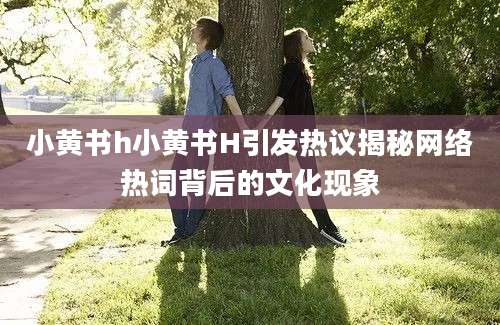 小黄书h小黄书H引发热议揭秘网络热词背后的文化现象