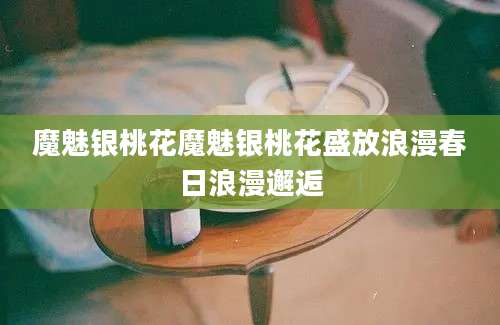 魔魅银桃花魔魅银桃花盛放浪漫春日浪漫邂逅