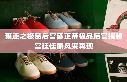 雍正之极品后宫雍正帝极品后宫揭秘宫廷佳丽风采再现