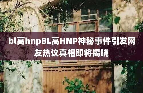 bl高hnpBL高HNP神秘事件引发网友热议真相即将揭晓