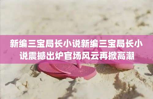 新编三宝局长小说新编三宝局长小说震撼出炉官场风云再掀高潮