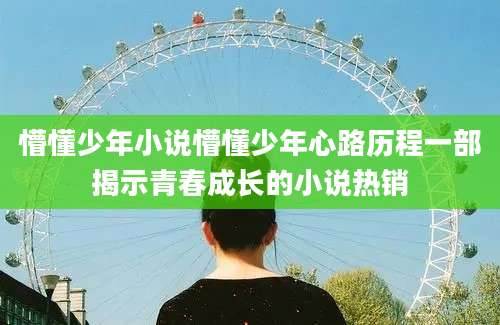 懵懂少年小说懵懂少年心路历程一部揭示青春成长的小说热销