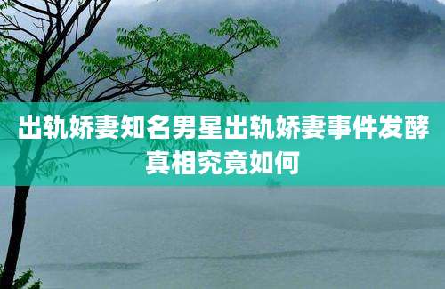 出轨娇妻知名男星出轨娇妻事件发酵真相究竟如何