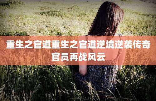 重生之官道重生之官道逆境逆袭传奇官员再战风云