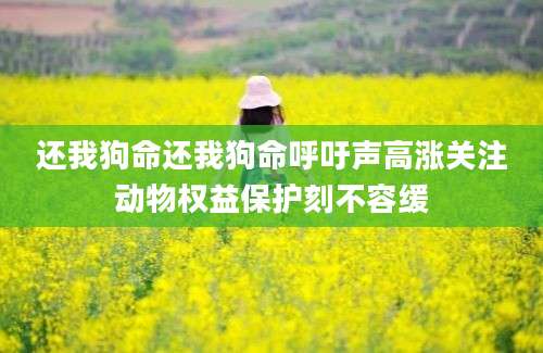 还我狗命还我狗命呼吁声高涨关注动物权益保护刻不容缓