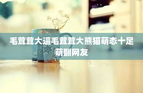 毛茸茸大逼毛茸茸大熊猫萌态十足萌翻网友