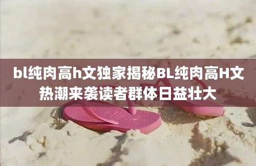 bl纯肉高h文独家揭秘BL纯肉高H文热潮来袭读者群体日益壮大