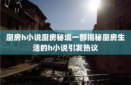 厨房h小说厨房秘境一部揭秘厨房生活的h小说引发热议