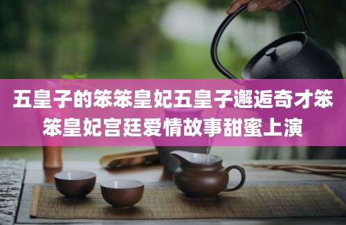 五皇子的笨笨皇妃五皇子邂逅奇才笨笨皇妃宫廷爱情故事甜蜜上演