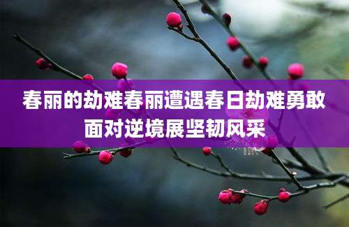 春丽的劫难春丽遭遇春日劫难勇敢面对逆境展坚韧风采
